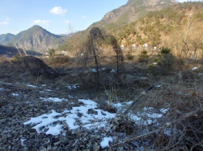 목록6,7,8,9,10,11 토지 모습11