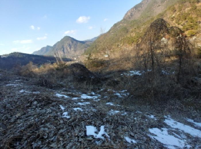 목록6,7,8,9,10,11 토지 모습12