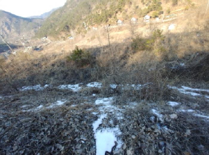 목록6,7,8,9,10,11 토지 모습13