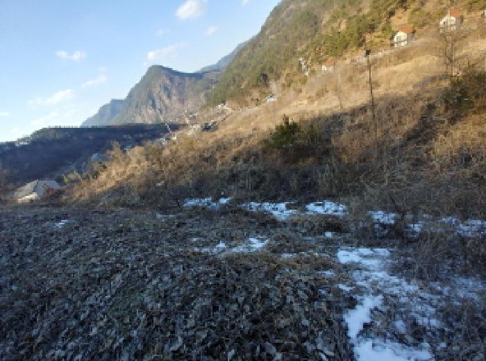 목록6,7,8,9,10,11 토지 모습14