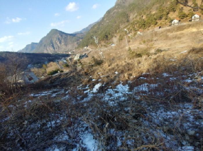 목록6,7,8,9,10,11 토지 모습16