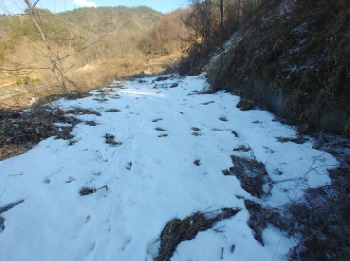 목록12 토지 모습3