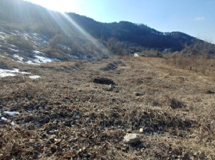 목록1 토지 모습4