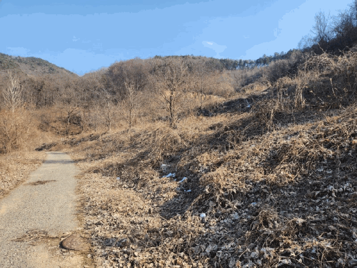 기호(2)~(5) 전경