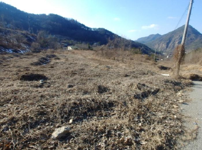 목록1 토지 모습5