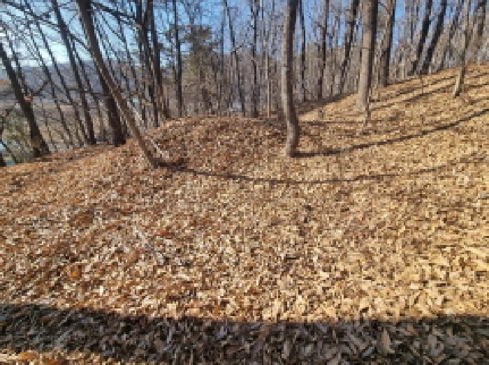 목록12 남서쪽 분묘 모습