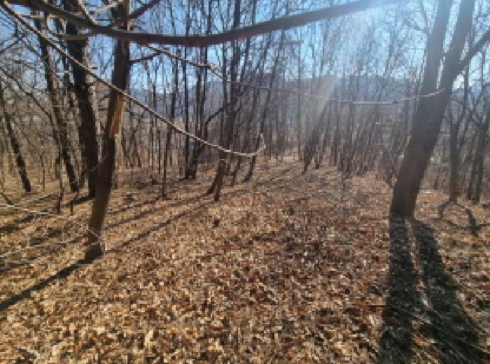 목록12 서쪽 모습2