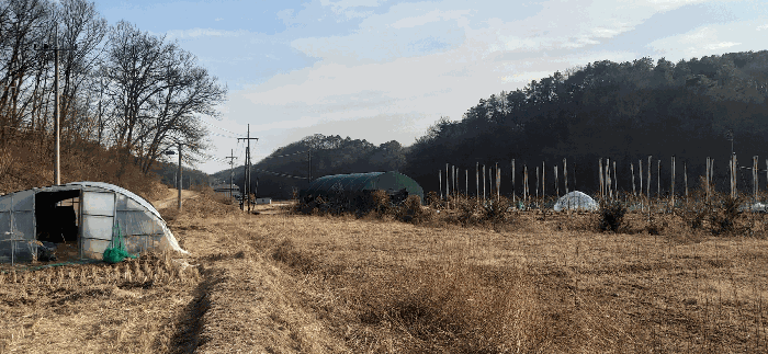 [ 본건(8) 전  경 ]