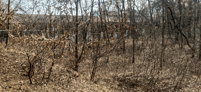 [ 본건(13) 전  경 ]