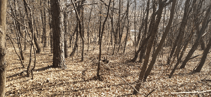 [ 본건(14) 전  경 ]