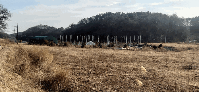 [ 본건(7) 전  경 ]