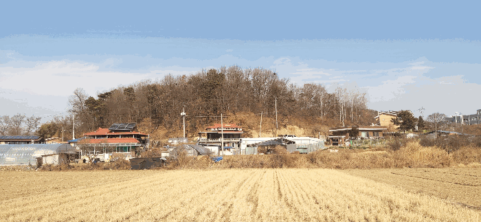 [ 본건(12) 전  경 ]