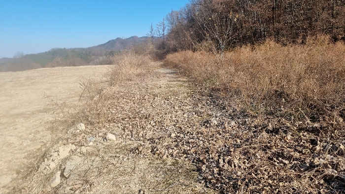 [본건 토지 동측 인접도로 전경]