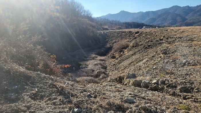 [본건 토지 중 북동측 저지부분 전경]