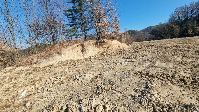 [본건 토지 중 북측부분 전경]