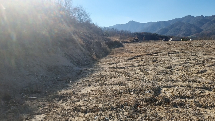 [본건 토지 중 동측 경계부분 전경]