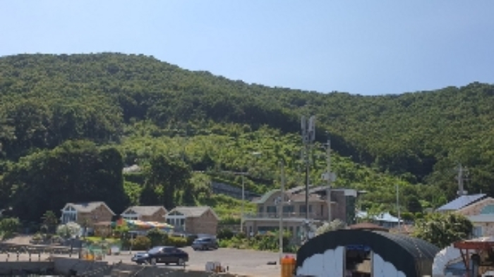 본건 및 주변 전경