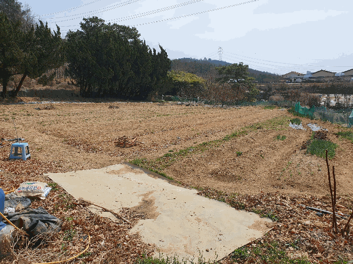 본건 서측 전경