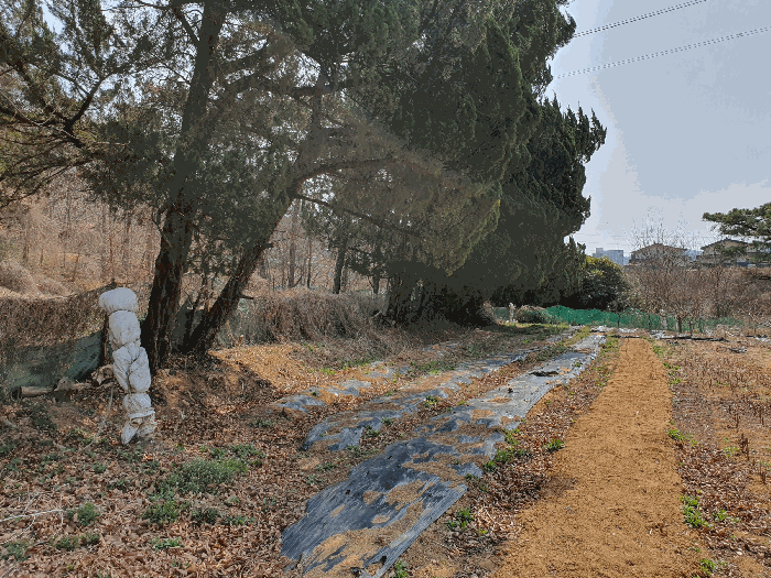 본건 북서측 전경