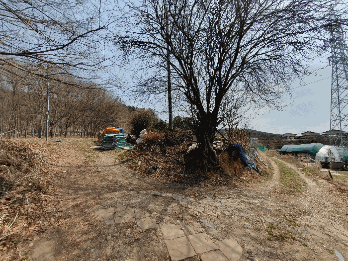 본건 북서측 전경