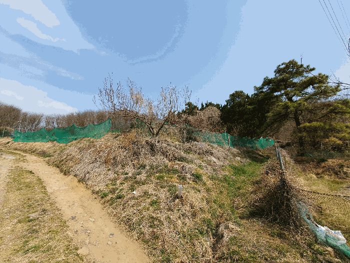 본건 남측 전경