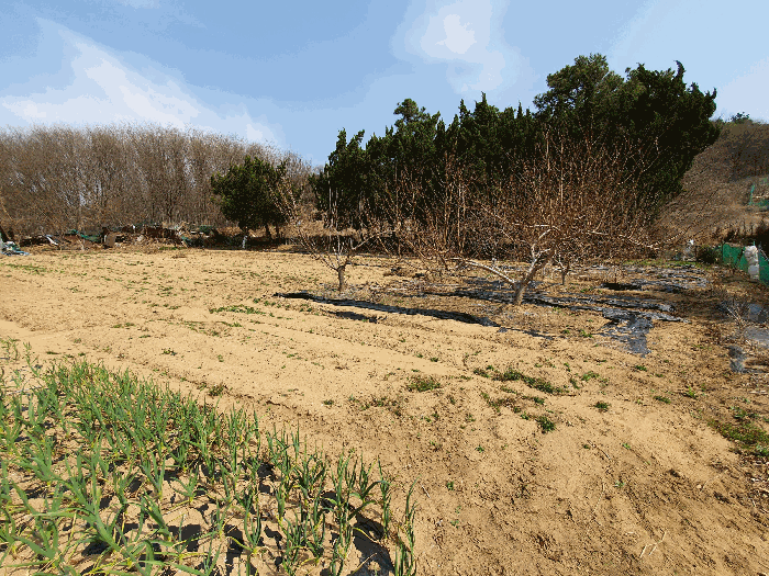 본건 남동측 전경