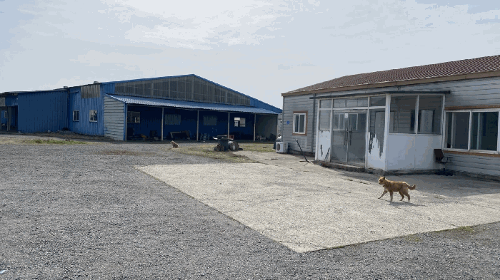 제시외 건물(ㄴ)