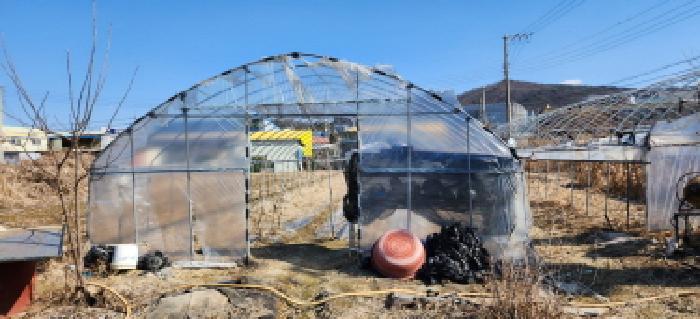 목록1 소재 제시외 비닐하우스2 전경