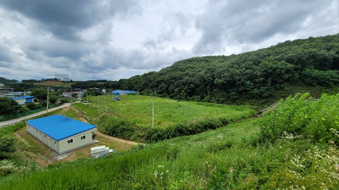 북서측에서 바라본 본건 전경