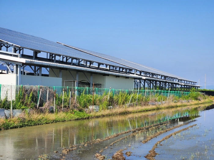 태양광발전시설 전경