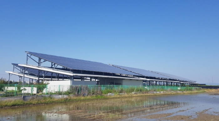 * 본건 목적물들 전경