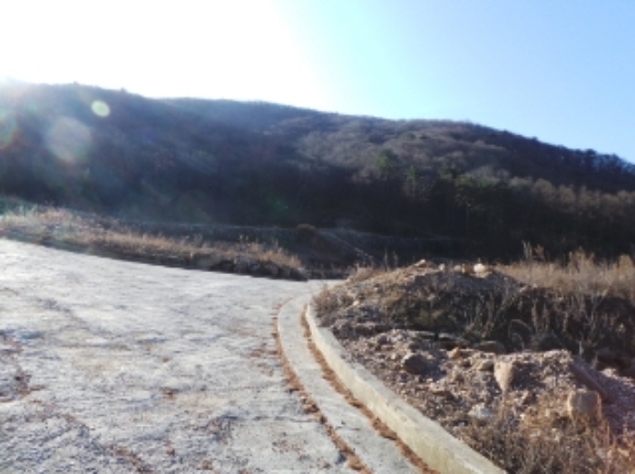 본건 근거리에서 촬영한 것임