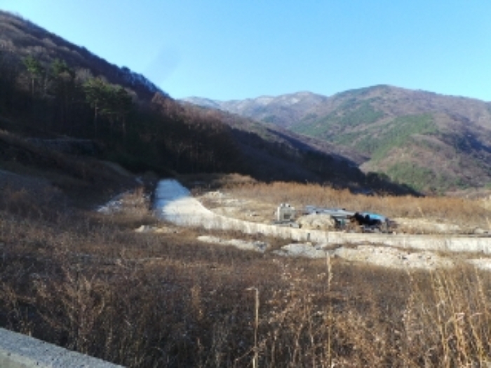 본건 근거리에서 촬영한 것임