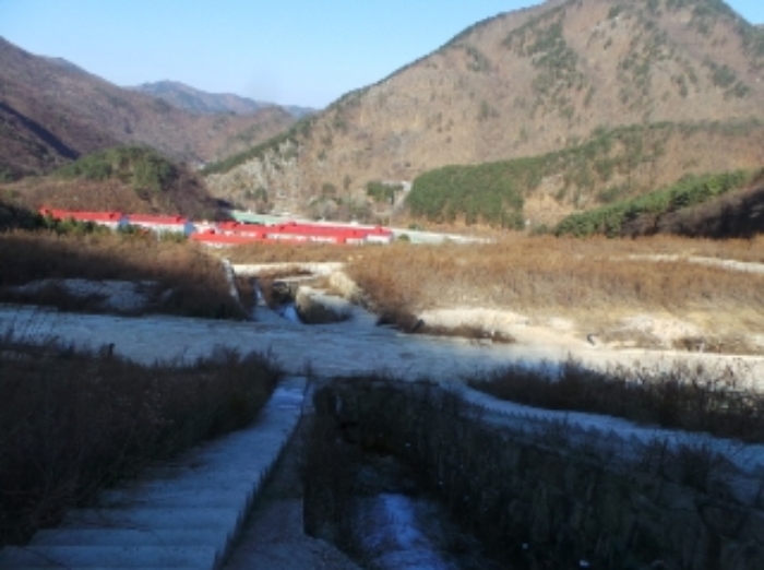 본건 근거리에서 촬영한 것임