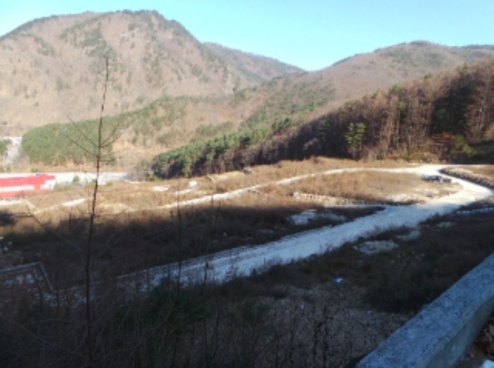 본건 근거리에서 촬영한 것임