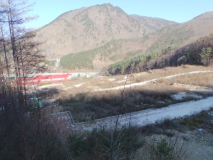 본건 근거리에서 촬영한 것임