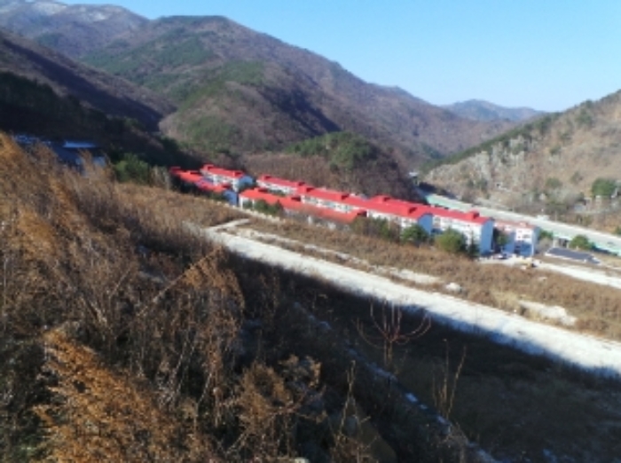 본건 근거리에서 촬영한 것임