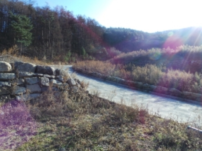 본건 근거리에서 촬영한 것임