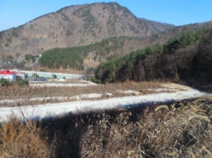 본건 근거리에서 촬영한 것임