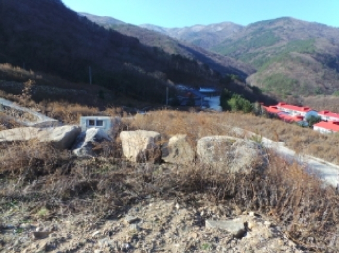 본건 근거리에서 촬영한 것임