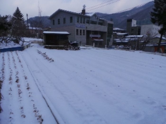 본건 근거리에서 촬영한 것임