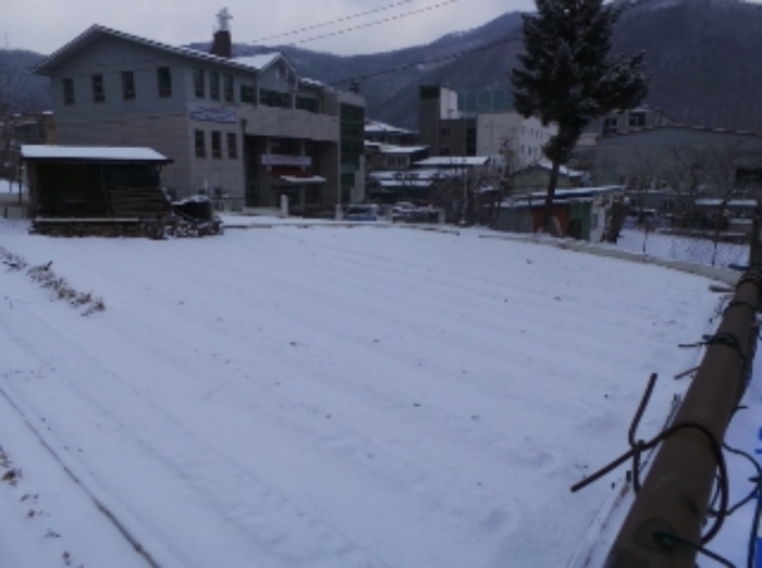 본건 근거리에서 촬영한 것임