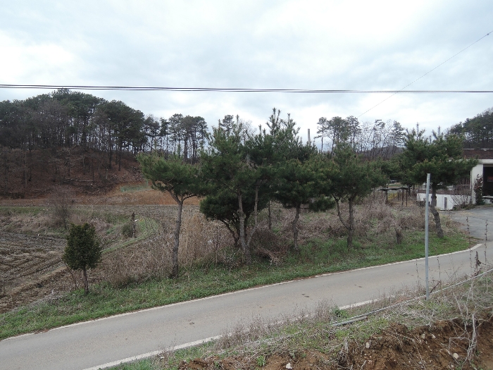 기호 7, 기호 9(남동측에서 촬영)