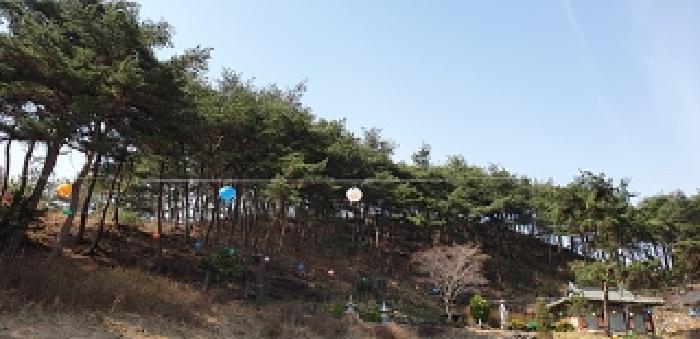 2번 부동산 모습