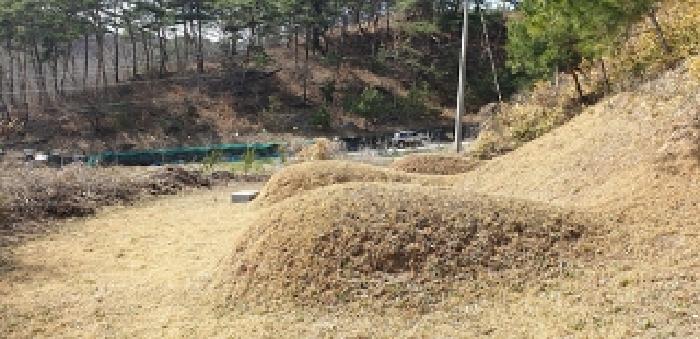 2번 부동산 지상 수기의 분묘 모습