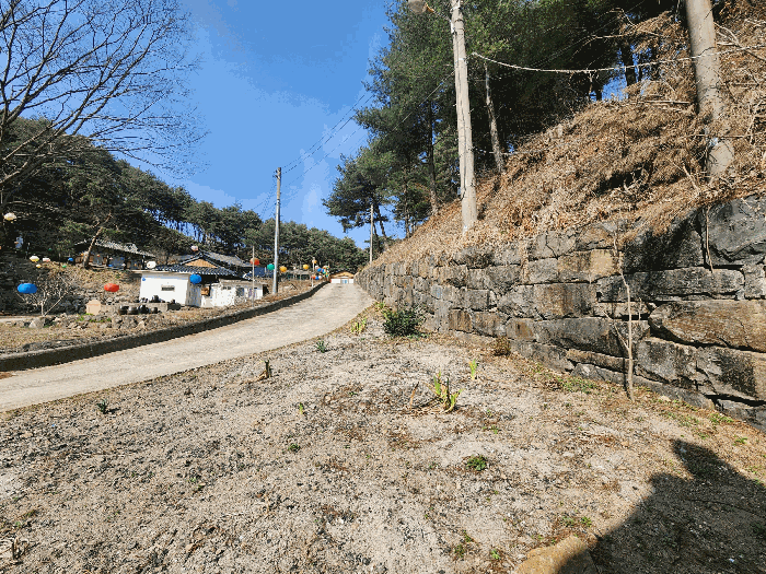 본건 토지 기호(7) 남측 전경 및 일부 도로(사찰 진입로)