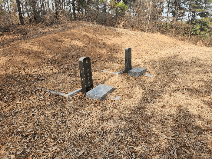 본건 토지 기호(1) 지상 제시외 분묘(평장묘)