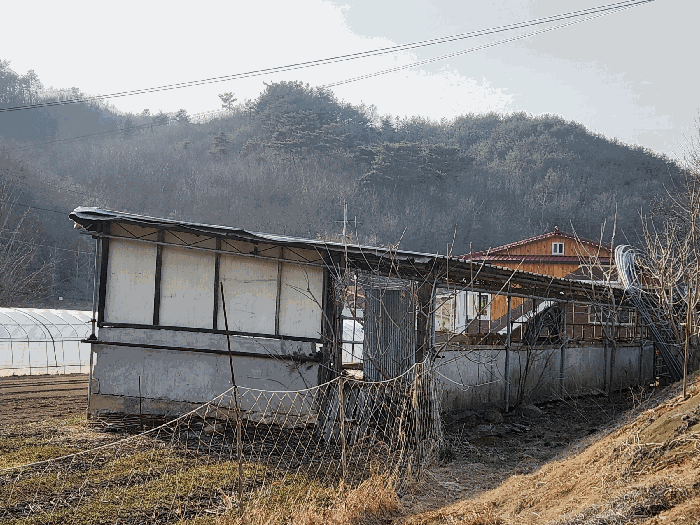 본건 토지 기호(1), (4),(6) 대률리 54-1번지 지상 타인소유 제시외 건물