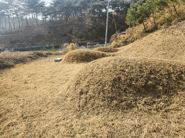 본건 토지 기호(2) 지상 제시외 분묘