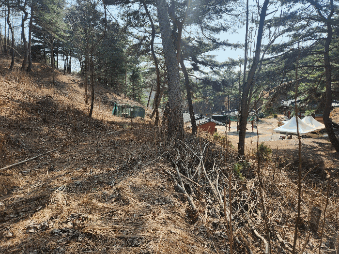 본건 토지 기호(2), (7) 북동측 전경